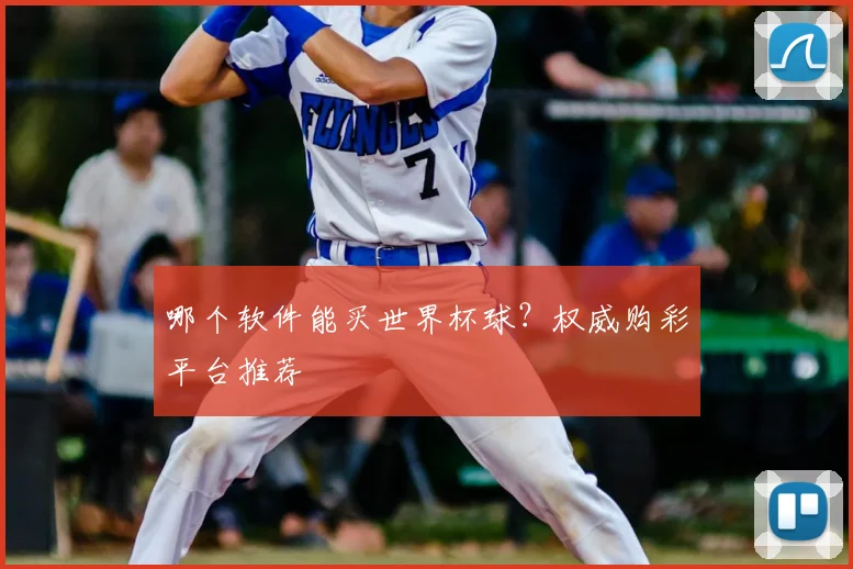 哪个软件能买世界杯球？权威购彩平台推荐