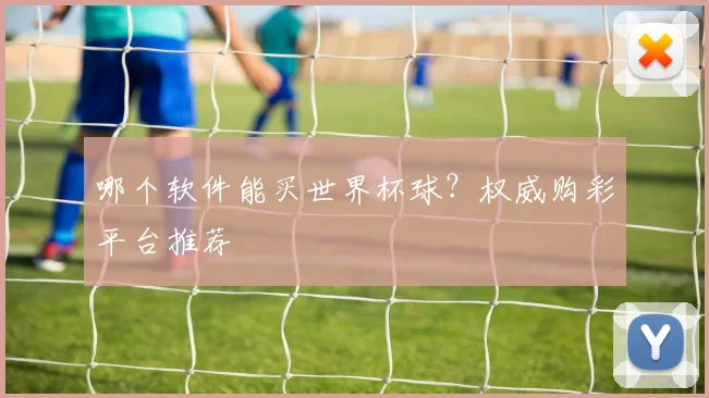 哪个软件能买世界杯球?权威购彩平台推荐