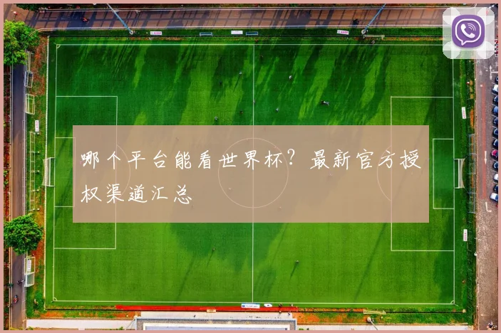 哪个平台能看世界杯?最新官方授权渠道汇总
