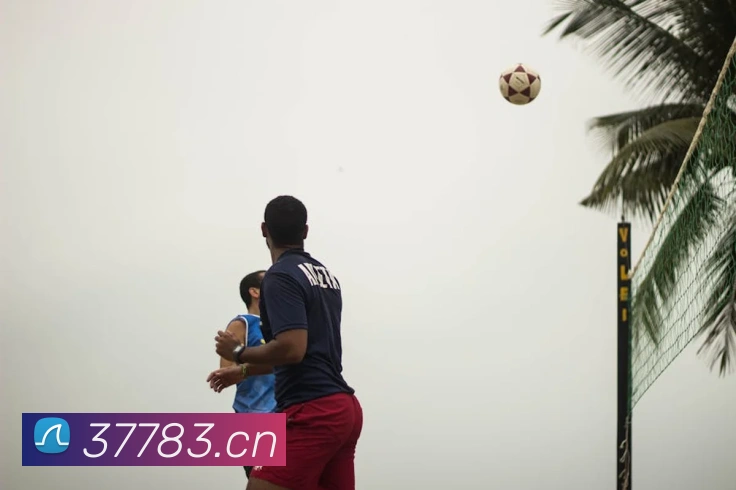 App Interface Preview